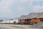 BNSF 7875 Head On East Bound Beer Train